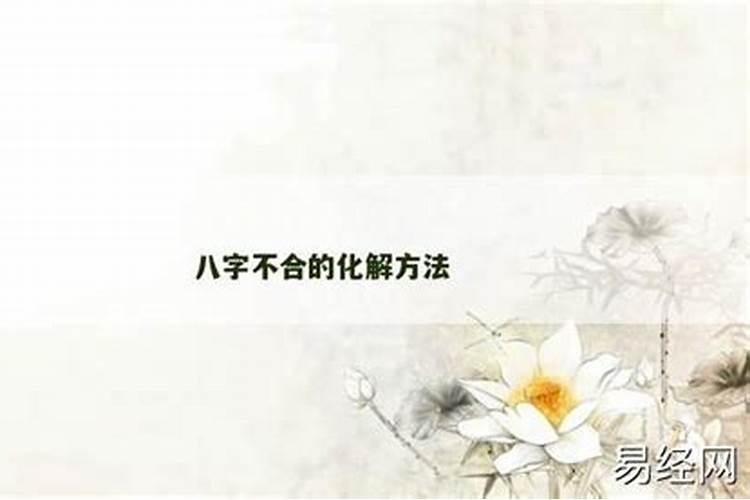 八字不合还过的幸福的