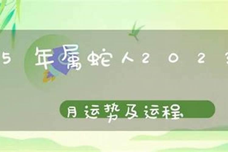 1965年属蛇在2026年运势运程