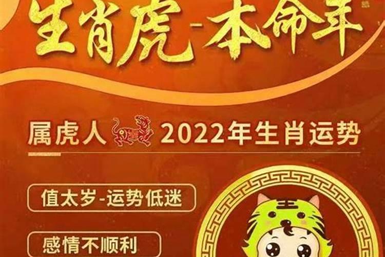 2026年虎年人运势如何？