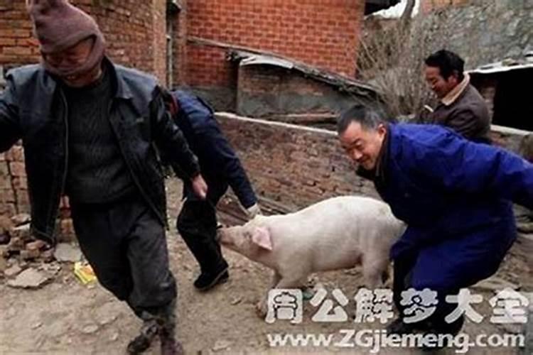 梦到上坟杀猪什么意思？