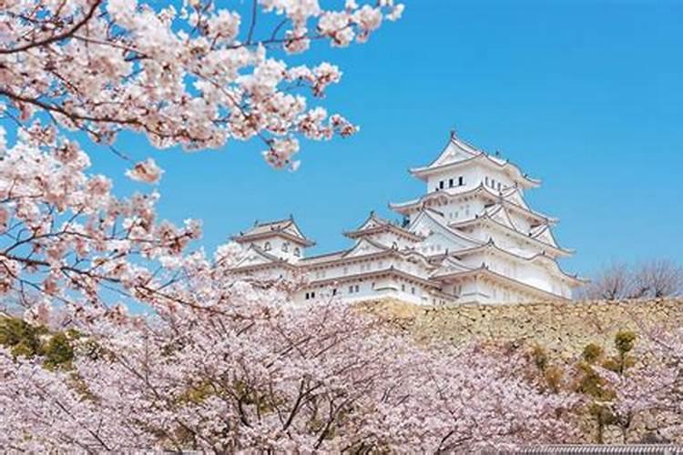 大阪财神节蛋糕店在哪儿？