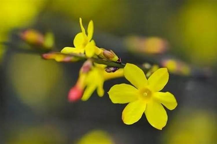 桃花煞的女人长得好吗？