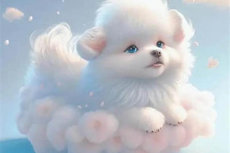 1958狗2026年的运程