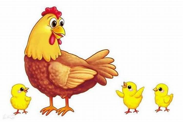 属鸡06年五月份运势如何？