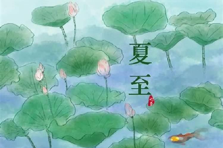 24节气中夏至是什么意思？