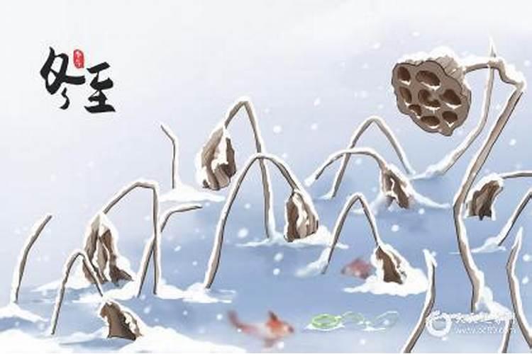 今天几点是冬至节气？