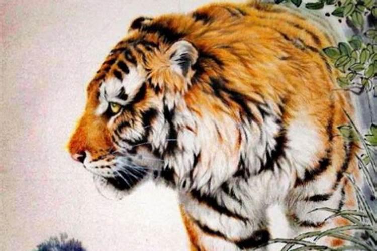 1974年2月出生属虎人运程