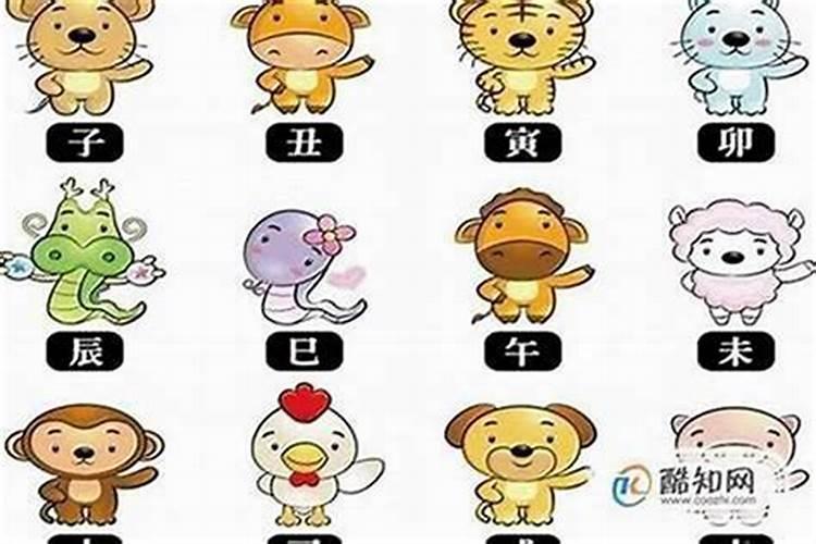 女人本命年运气好不好怎么看？