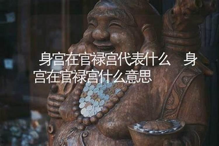 禄合婚姻宫什么意思？