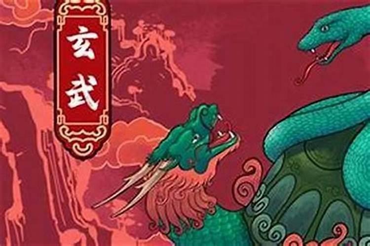 1977年蛇一生运程