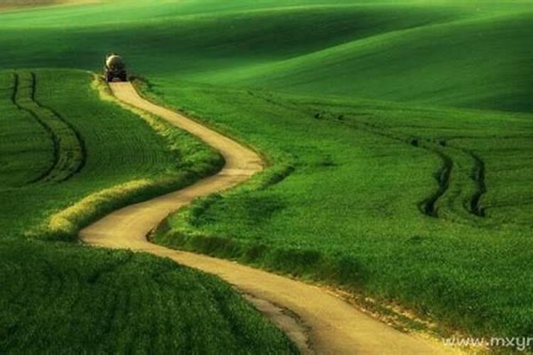 梦见回家走错路被人告知