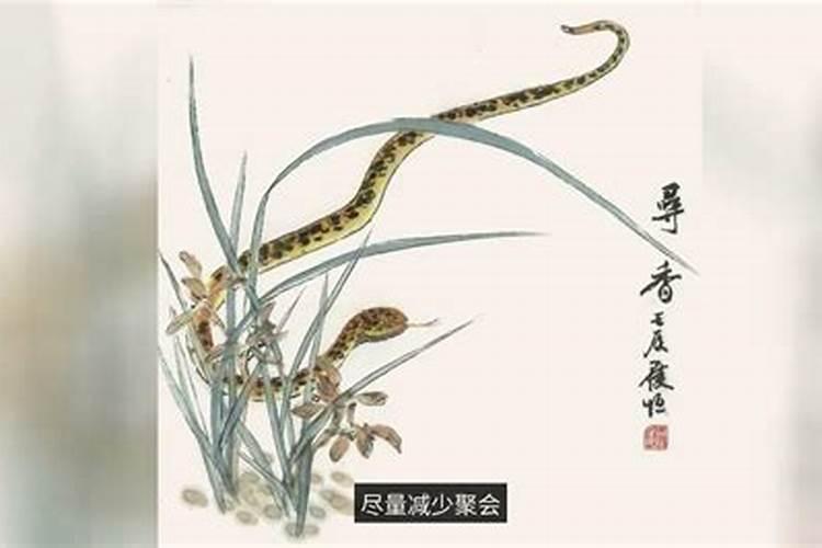 2026年生肖蛇5月运势如何？