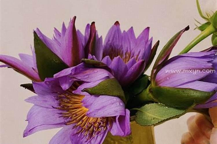 梦见老爸死后又活了是什么兆头？