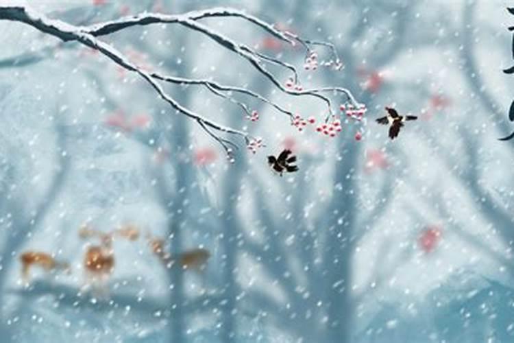 立冬是哪些时候？