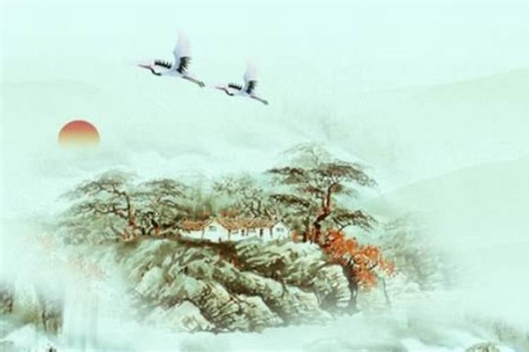 本命年的运气好不好属牛女？