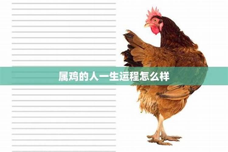 属鸡人的一生运程预测