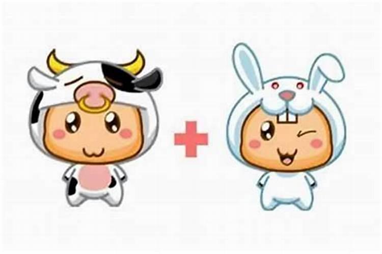 属牛的和属兔的合婚吗？