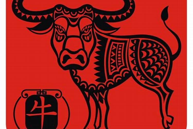 属牛人一生的运势女