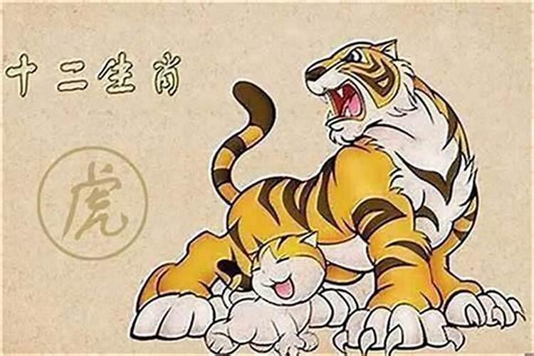 属牛与属虎的合婚吗？