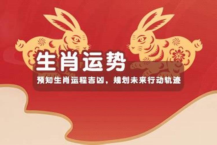 1985年2026年属虎运势如何？