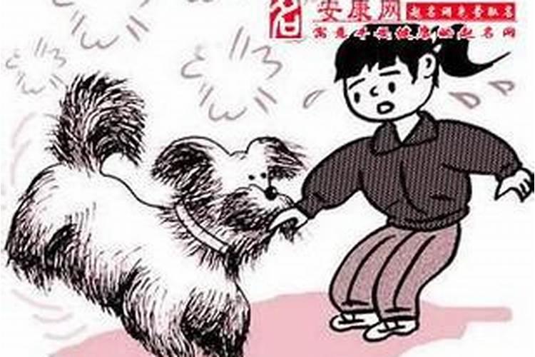 梦见狗咬我双脚不放