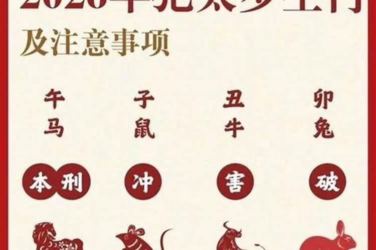 2026年犯太岁生肖解析