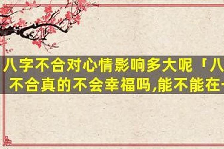 八字不合的会幸福吗？