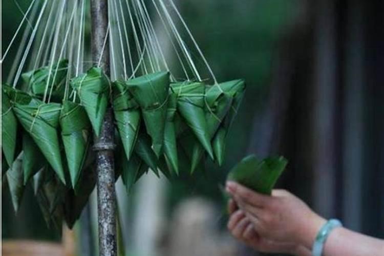 哪种动物最怕端午节？