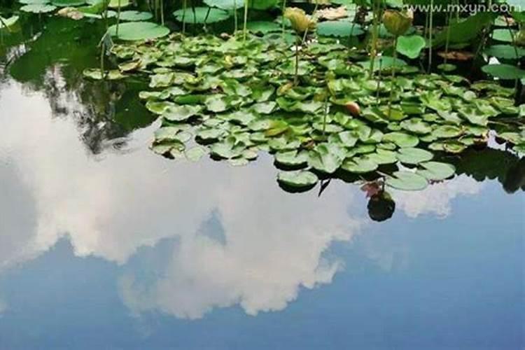 梦见死去的奶奶身边都是水