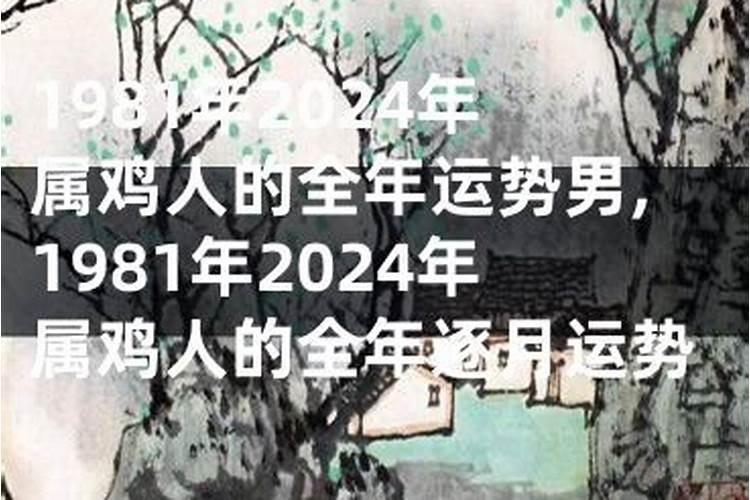 1981年的男在2026年运势