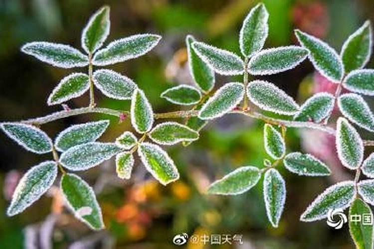 银边冬至祭天涯