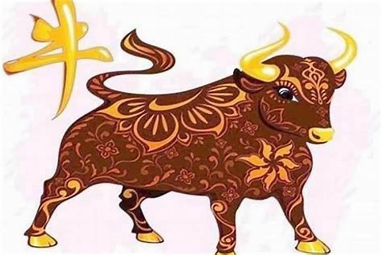 属牛人二0一九年运势如何？