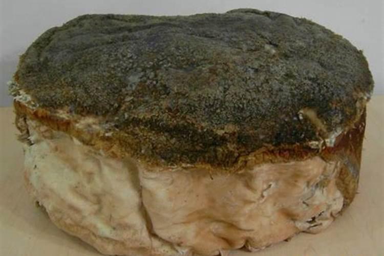 真的有太岁吗太岁是什么东西？