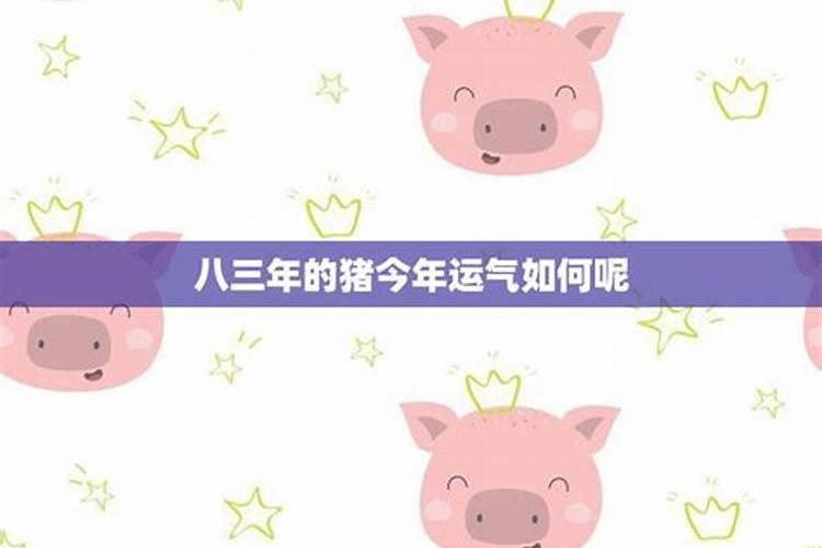 八三年的猪2026年运势