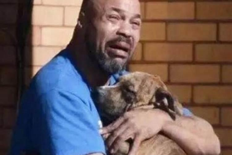 梦见狗死了又活了什么意思？