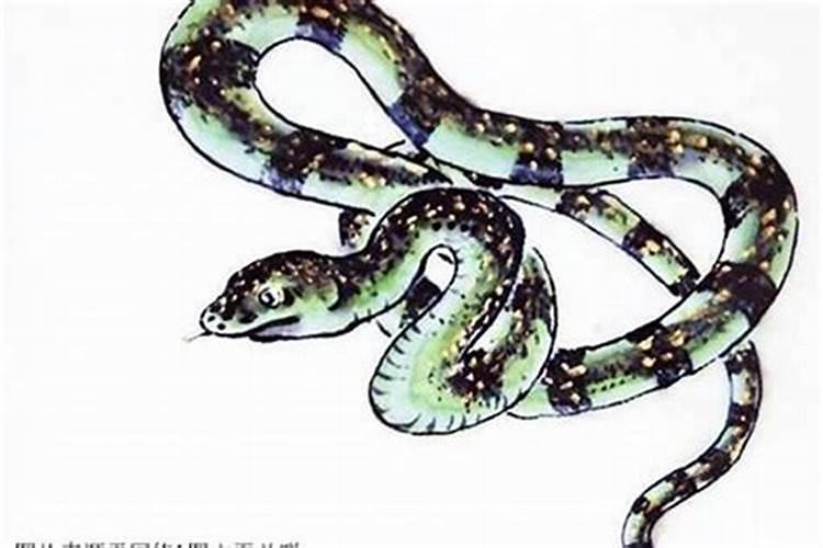 刑太岁2026蛇可以带本命佛吗？