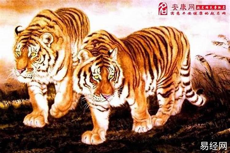 属虎人阴历四月的运势如何？