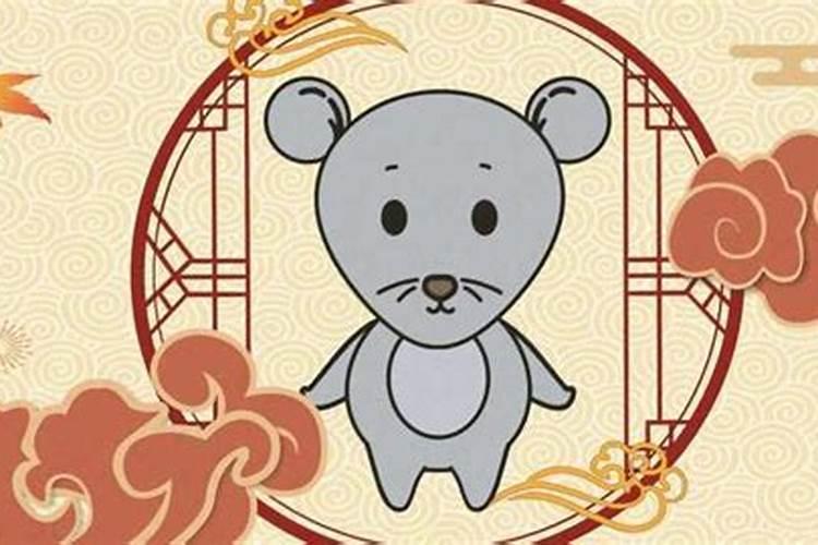 男属鼠跟女属虎八字合吗？