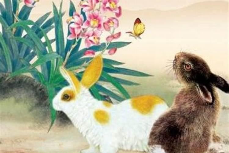 属相婚配马和兔配吗？