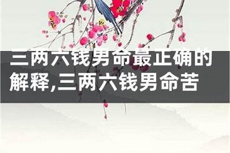 男命三两六白话解析