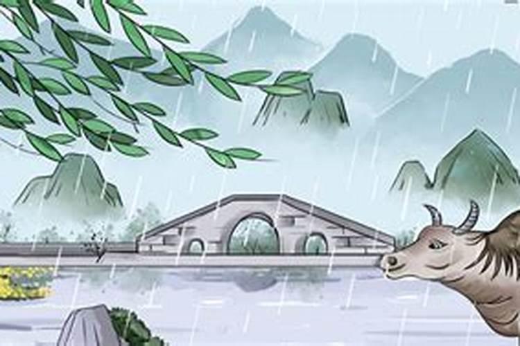 小清明节是几号？