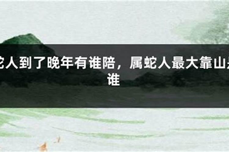 2026猪年蛇运程如何？