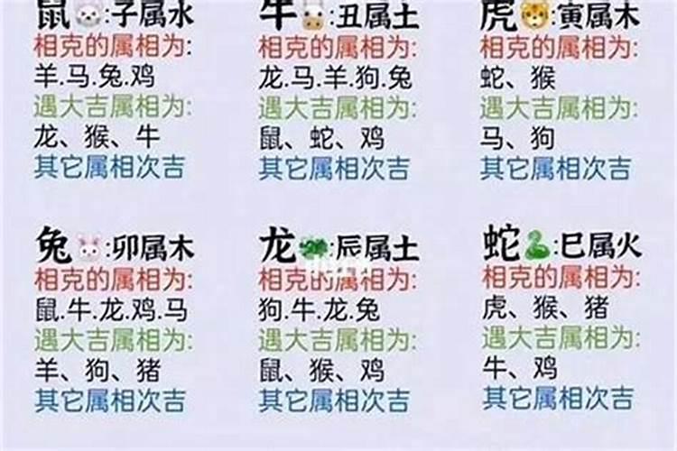 属相不合婚姻会幸福吗？