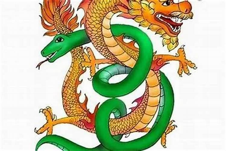 属龙的和属蛇的八字合吗？