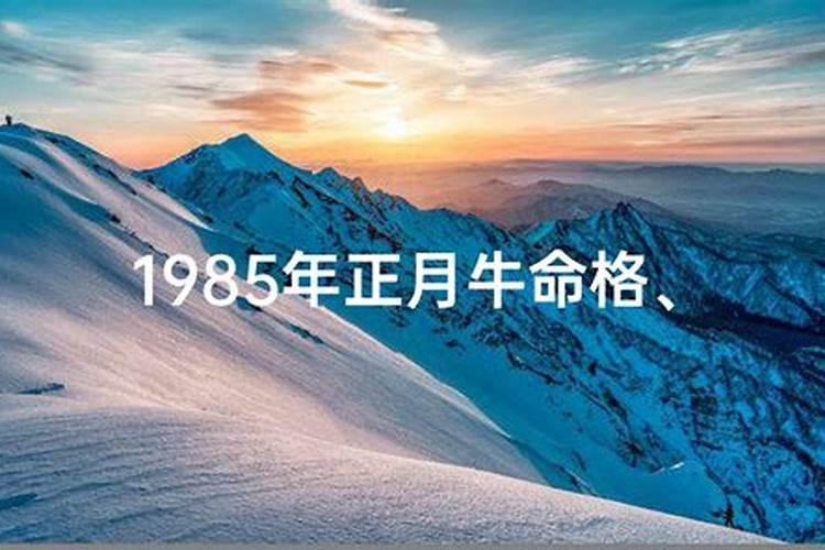 1985年正月初二运成