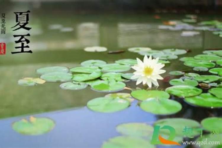 夏至哪一天开始？