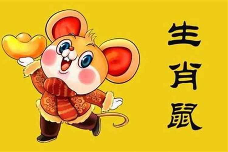 6月份鼠运势如何？