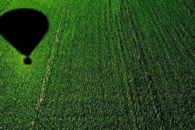 过了生日就是本命年了吗？