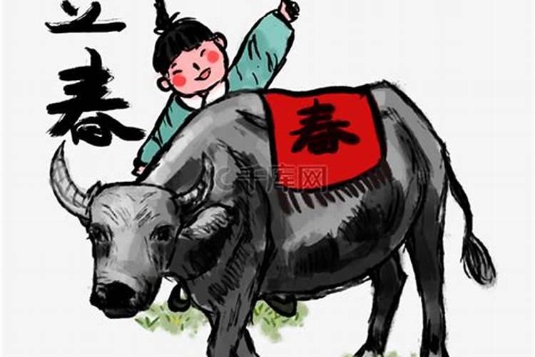 立春的习俗打春牛