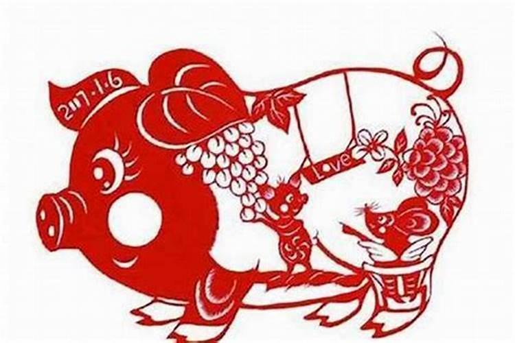 属猪95婚姻运势如何？